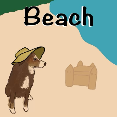 Dexter at the beach