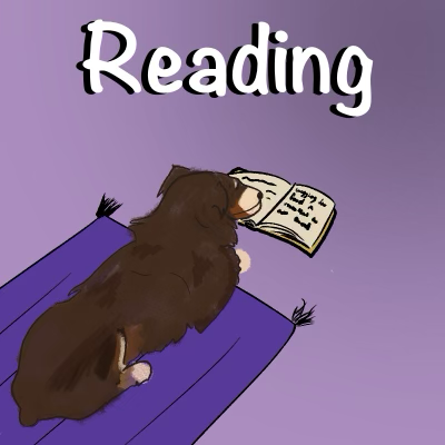 Dexter reading a book