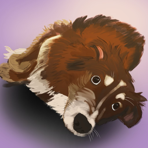 Card Dog app icon